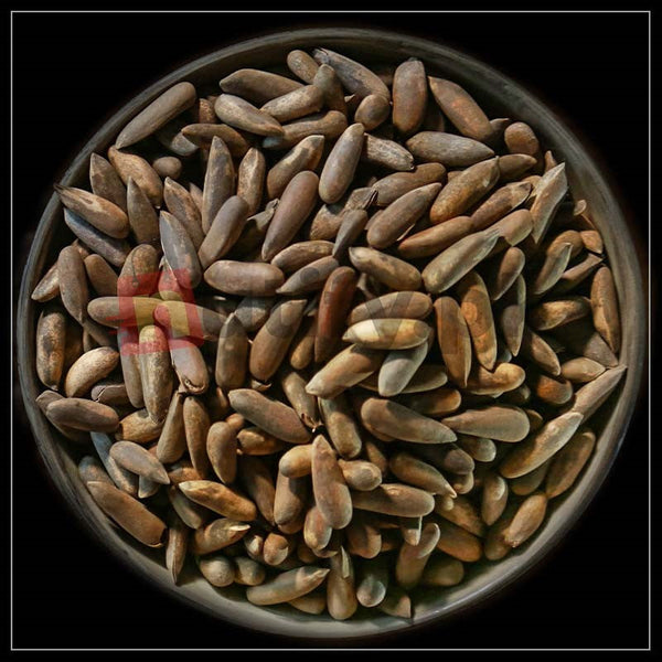 Pine Nuts