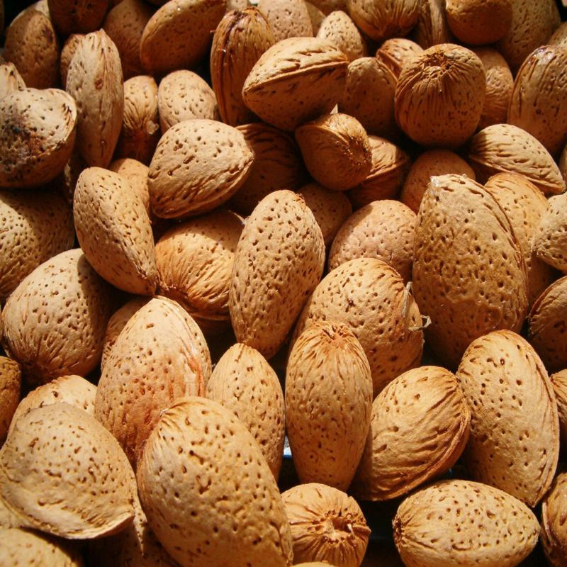 Almonds - Inshell Katha